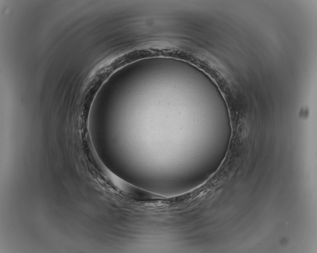 X0000097610920200802291258