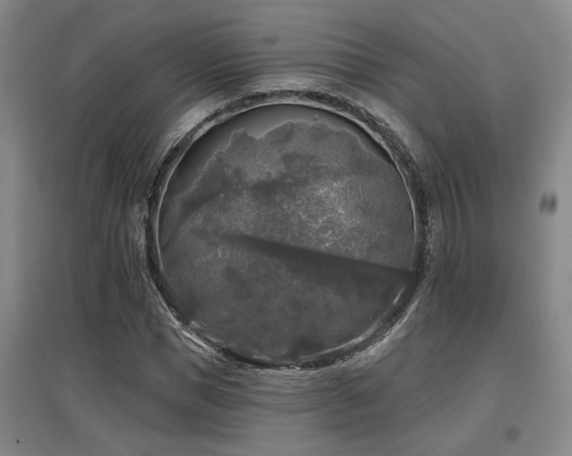 X0000097610921200802291258
