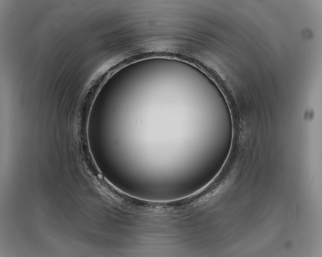 X0000097610922200802291258