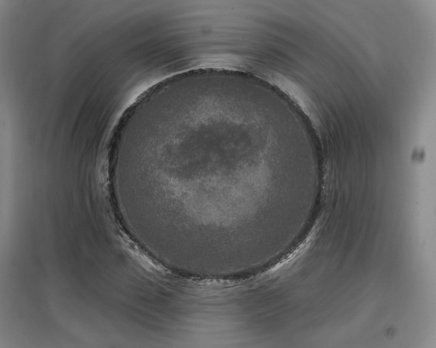X0000097610923200802291258