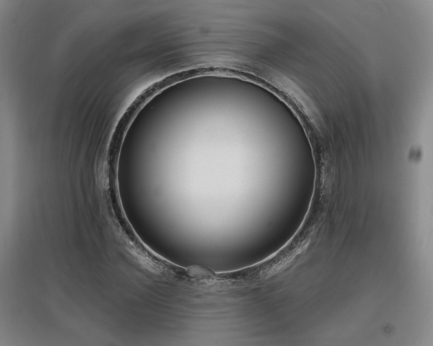 X0000097610924200802291258