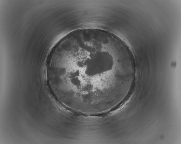 X0000097610925200802291258
