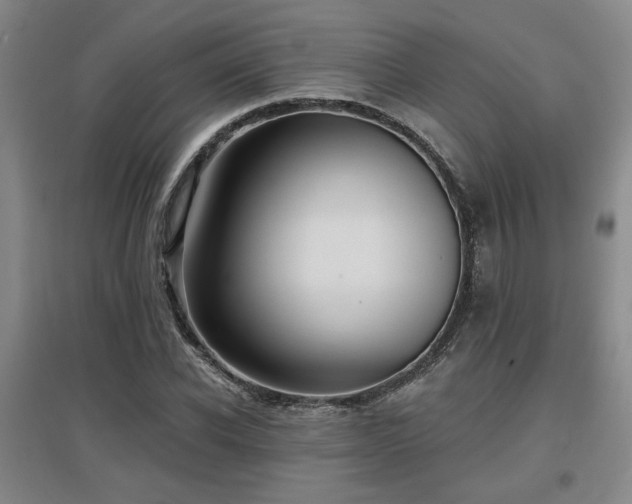 X0000097610926200802291258