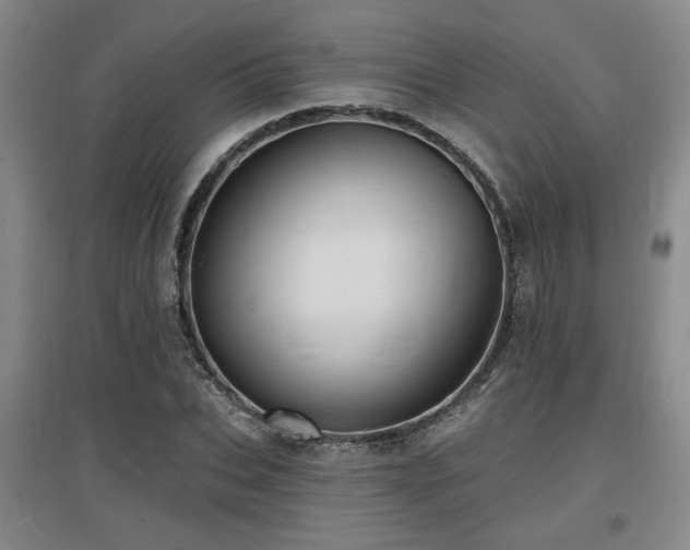 X0000097610927200802291258