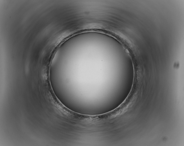X0000097610929200802291259