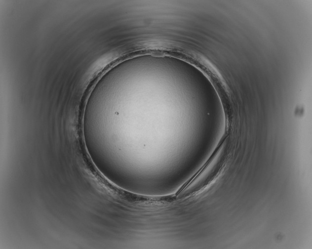X0000097610930200802291259