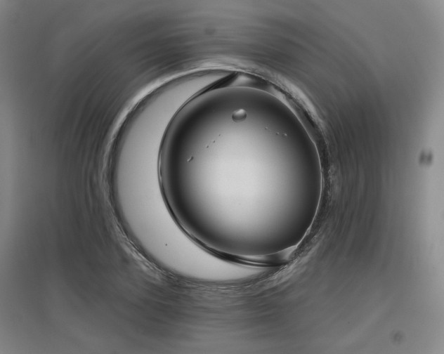 X0000097610931200802291259