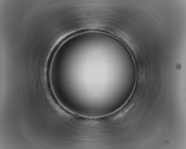 X0000097610932200802291259