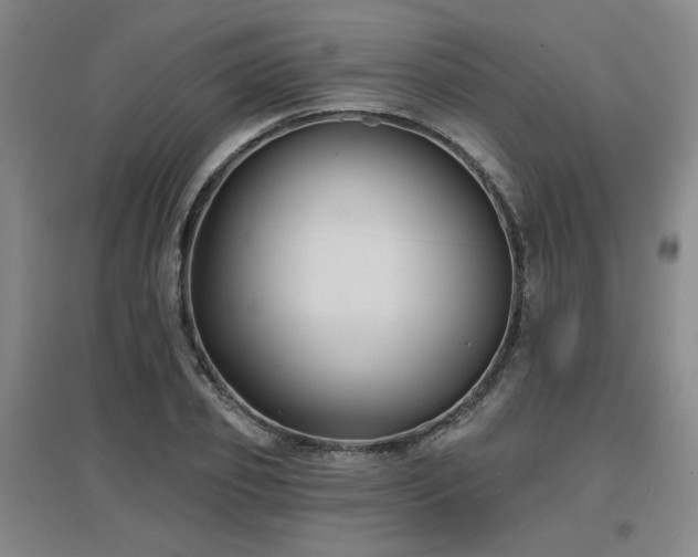 X0000097610933200802291259