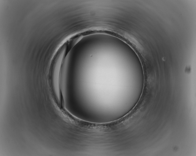 X0000097610934200802291259