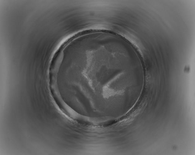 X0000097610935200802291259