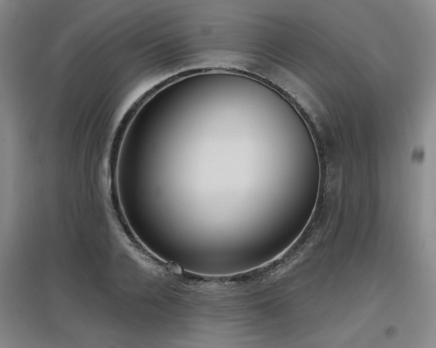 X0000097610936200802291259