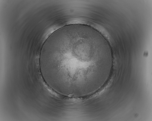X0000097610937200802291259