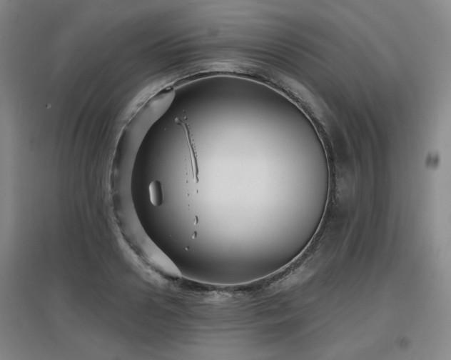 X0000097610938200802291259