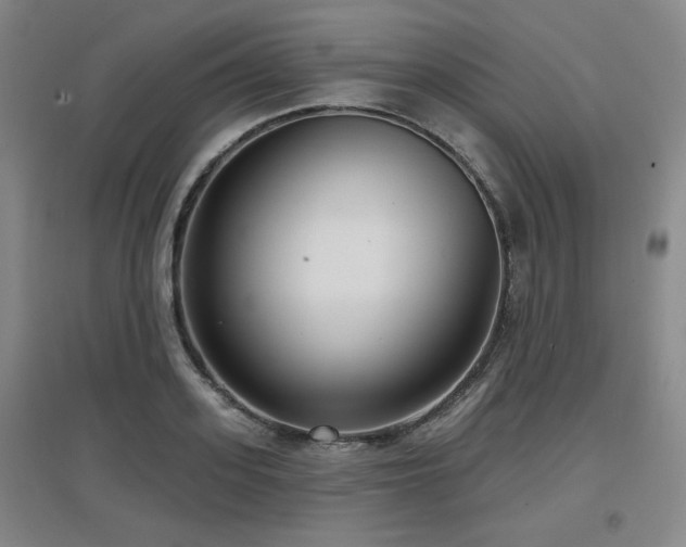 X0000097610939200802291259