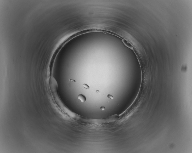 X0000097610940200802291259