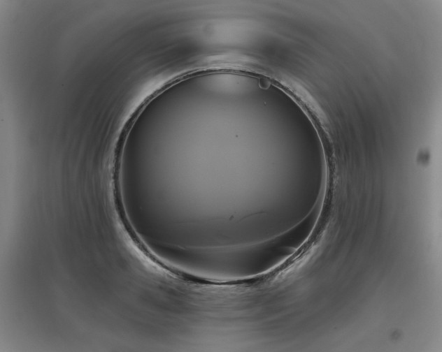 X0000097610941200802291259