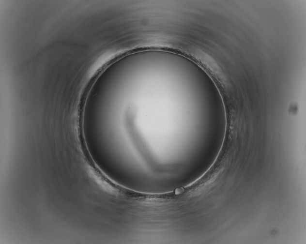 X0000097610942200802291259