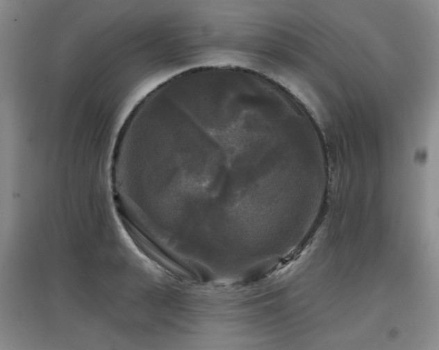 X0000097610943200802291259