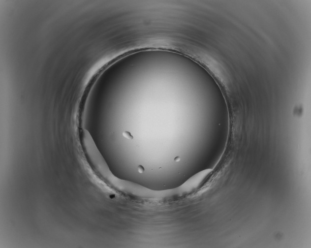 X0000097610944200802291259