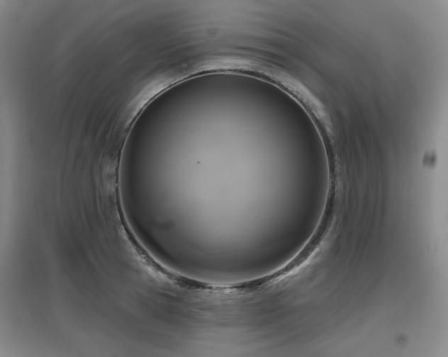 X0000097610945200802291259