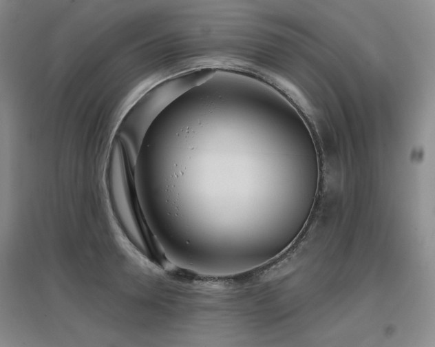 X0000097610946200802291259