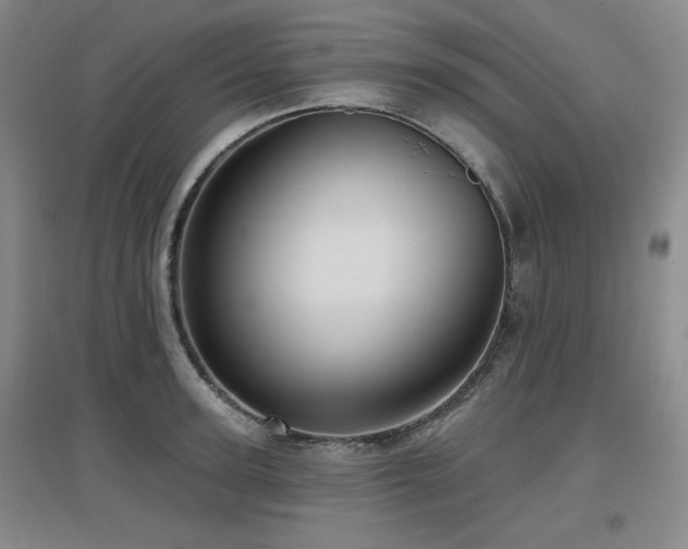 X0000097610947200802291259