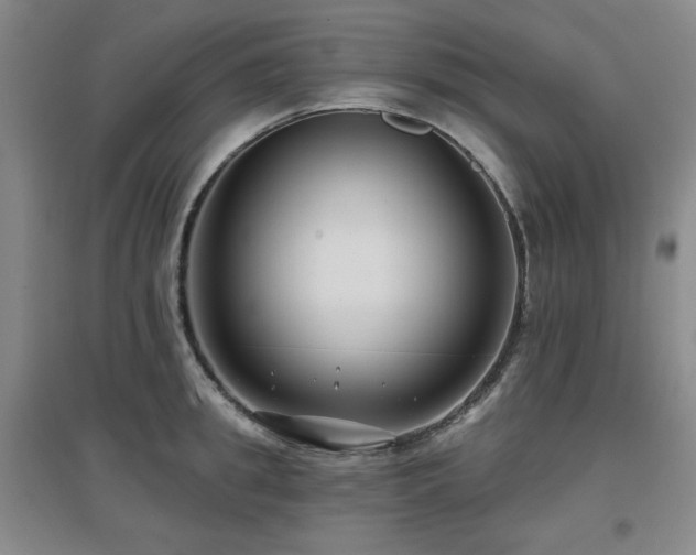 X0000097610949200802291259