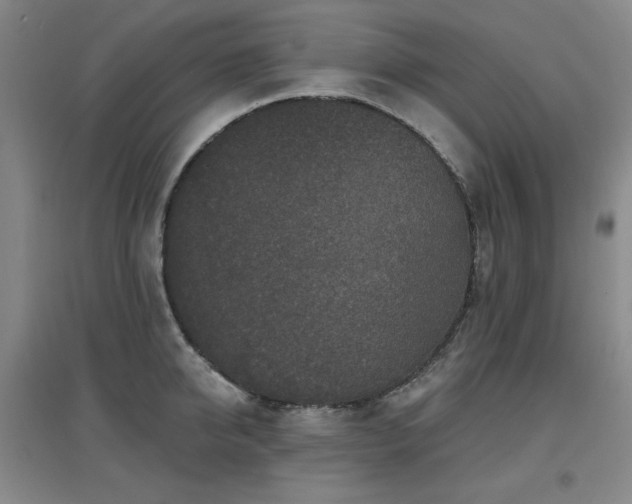 X0000097610950200802291259