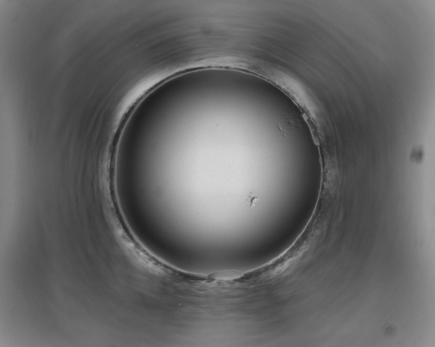 X0000097610952200802291259