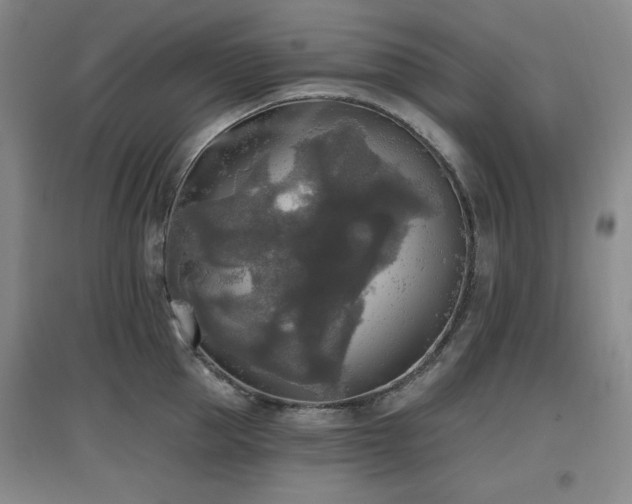X0000097610953200802291259