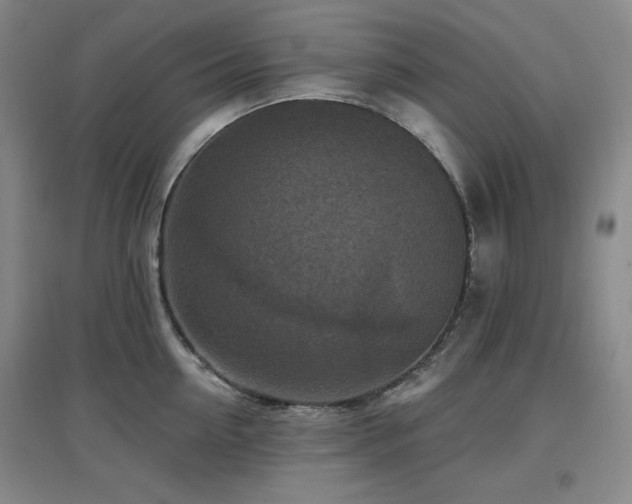 X0000097610954200802291259