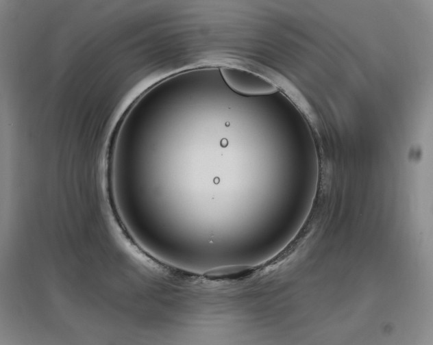 X0000097610955200802291259