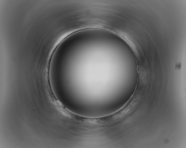 X0000097610956200802291259