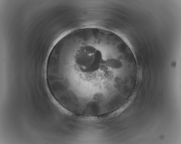 X0000097610957200802291259