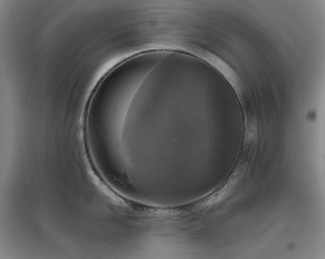 X0000097610958200802291259