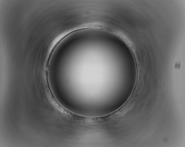 X0000097610960200802291259