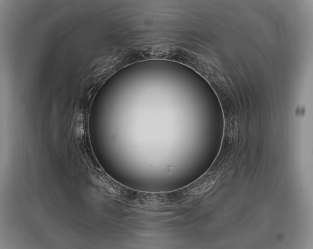 X0000097610962200802291258