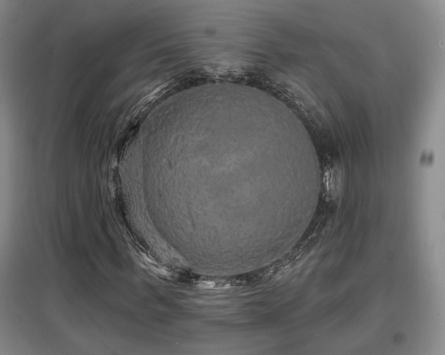 X0000097610963200802291258