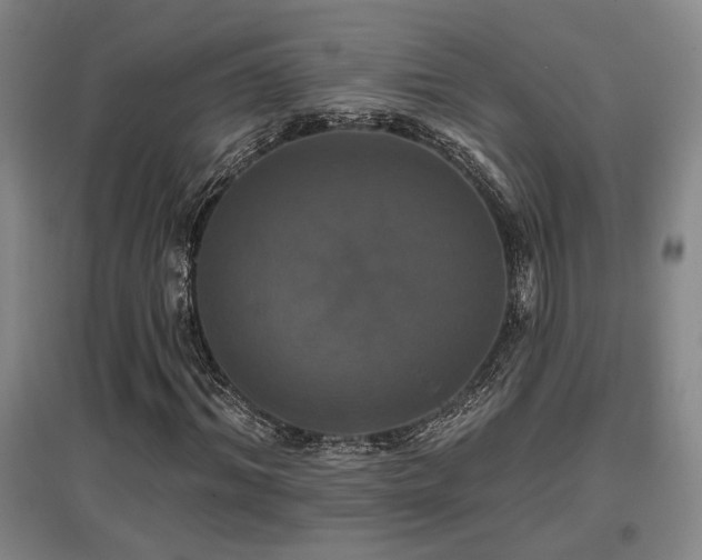 X0000097610964200802291258