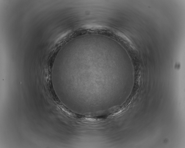X0000097610966200802291258