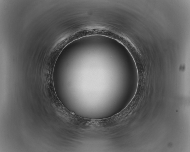 X0000097610967200802291258