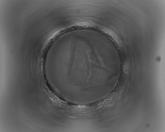 X0000097610968200802291258
