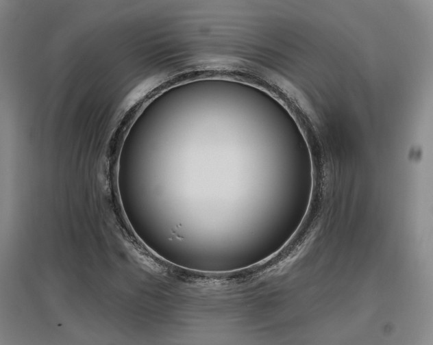X0000097610970200802291258