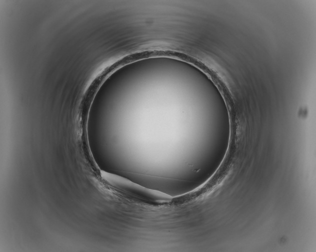 X0000097610973200802291258
