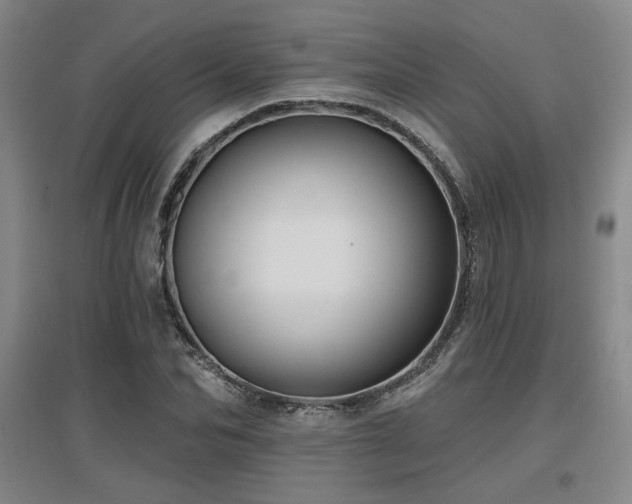 X0000097610974200802291258