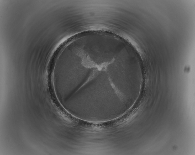 X0000097610975200802291258