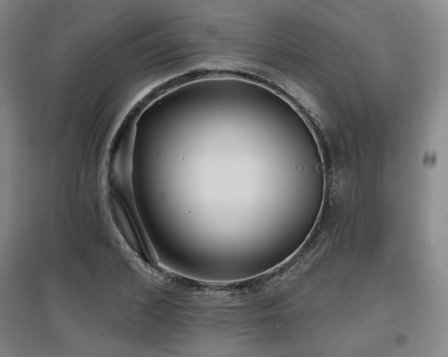 X0000097610976200802291258