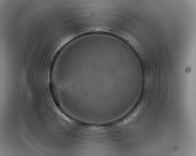 X0000097610977200802291258