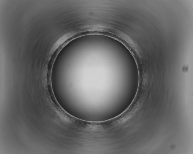 X0000097610978200802291258